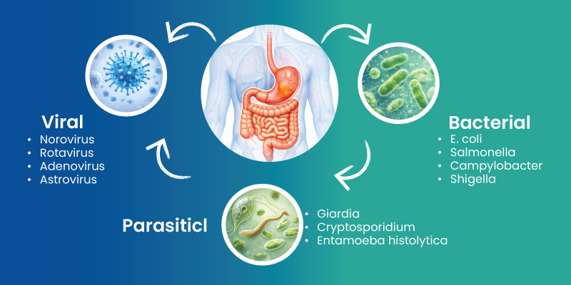 causes of acute gastroenteritis including viral bacterial and parasitic infections