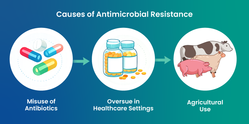 causes of antimicrobial resistance including antibiotic misuse and overuse