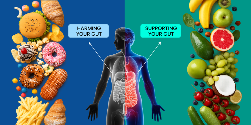 foods that harm gut microbiome and reduce gut health