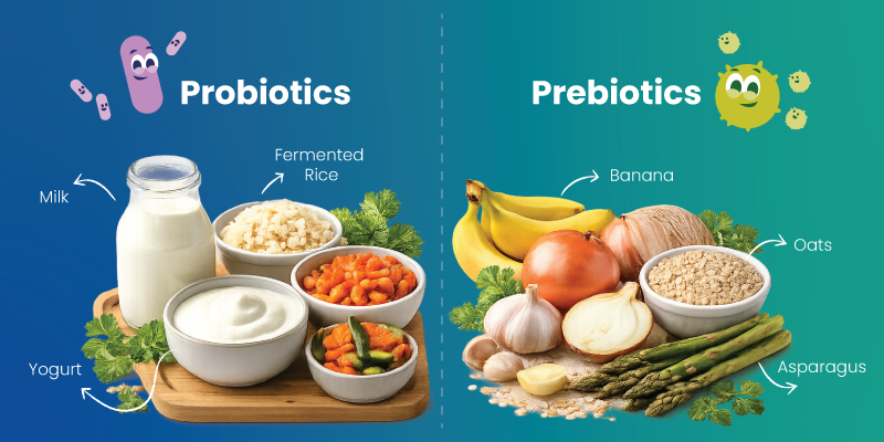 foods for good gut bacteria including fiber probiotics and prebiotics