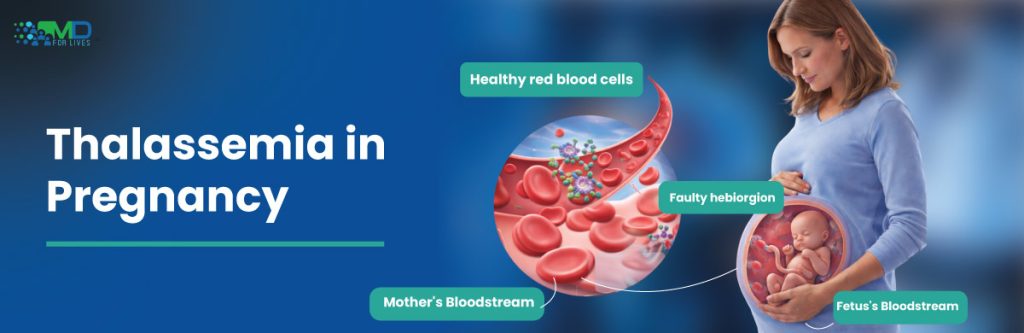 thalassemia in pregnancy red blood cell disorder affecting hemoglobin